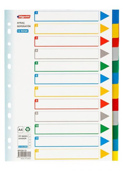 BİGPOİNT AYRAÇ SEPERATÖR PP 12 RENKLİ