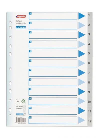 BİGPOİNT PP SEPERATOR 1-12 RAKAMLI